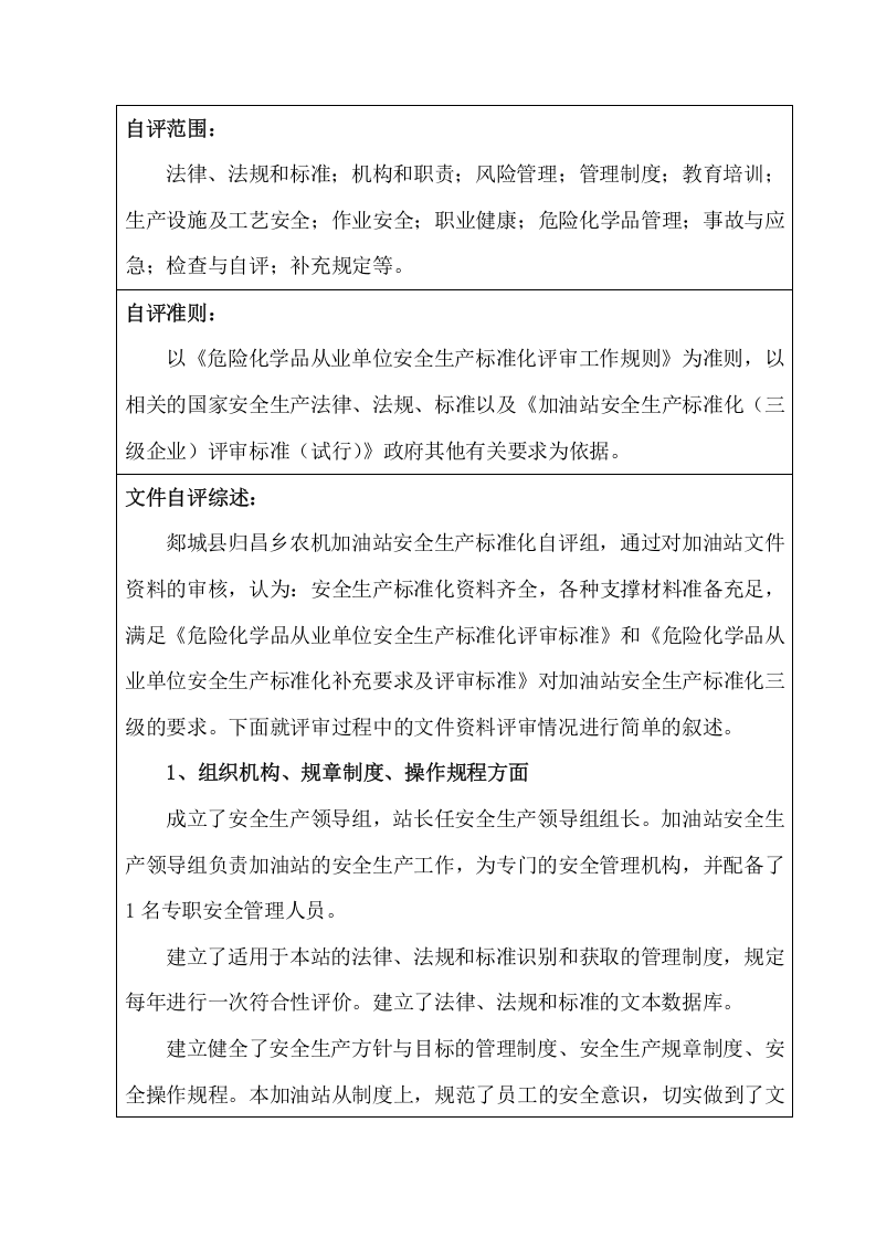 加油站自评报告 第4页