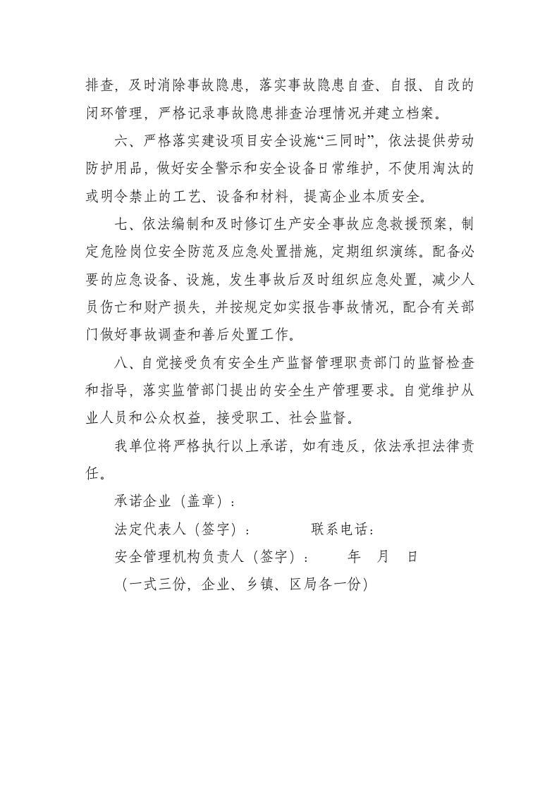 6、工商贸企业安全生产主体责任承诺书 第2页