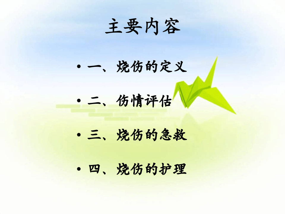 烧伤的急救护理.ppt 第3页