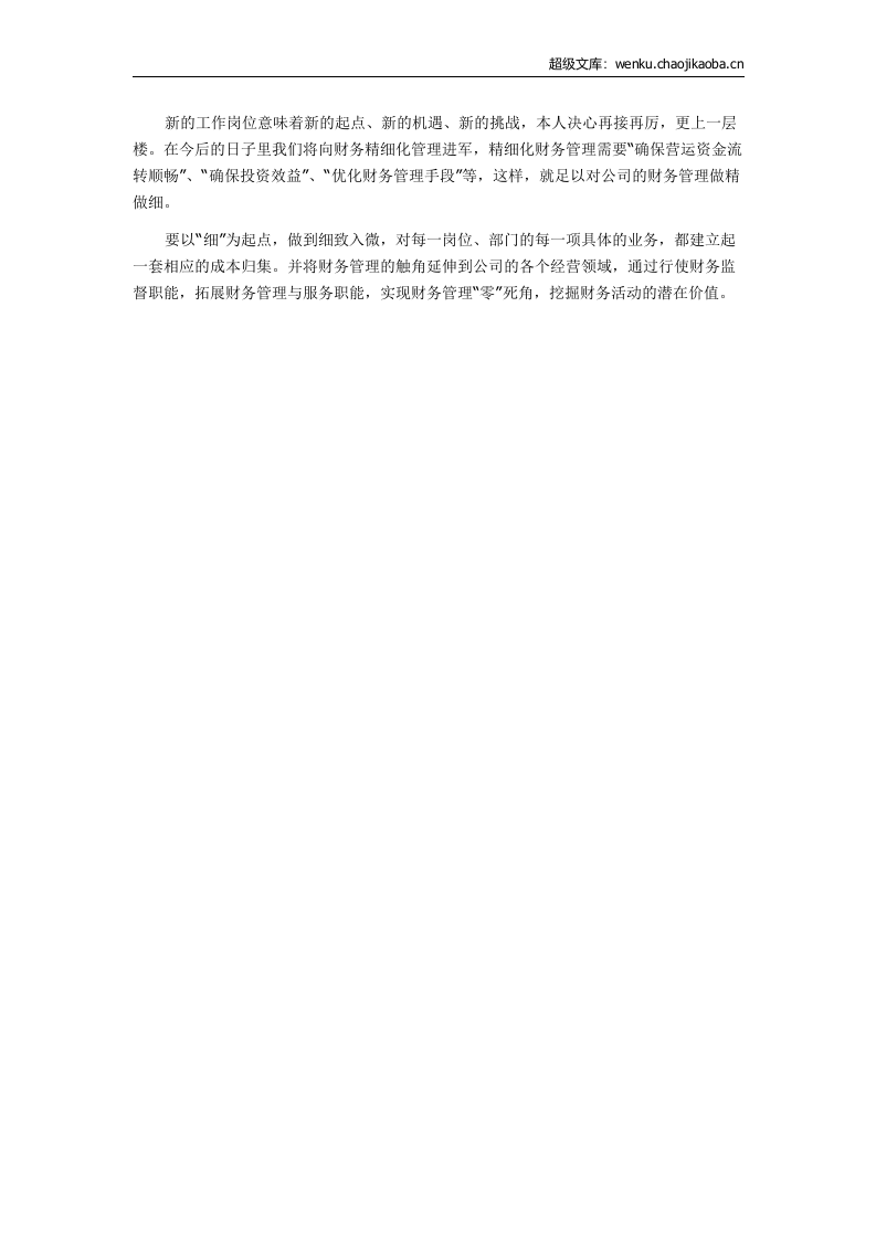 会计工作总结5.docx 第2页