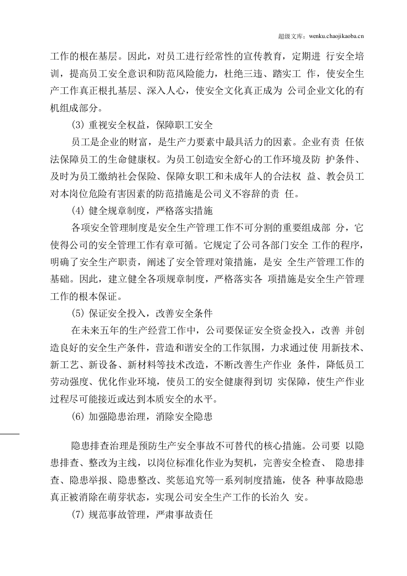 危险货物运输公司中长期规划.docx 第3页