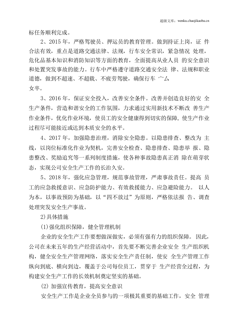 危险货物运输公司中长期规划.docx 第2页