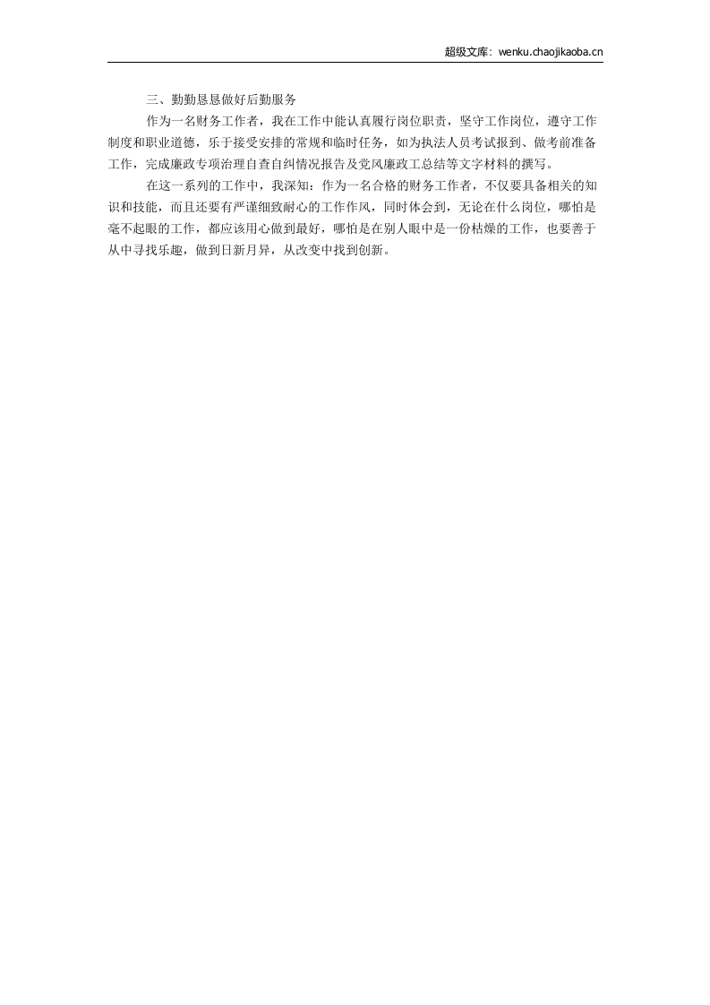 会计工作总结3.docx 第2页