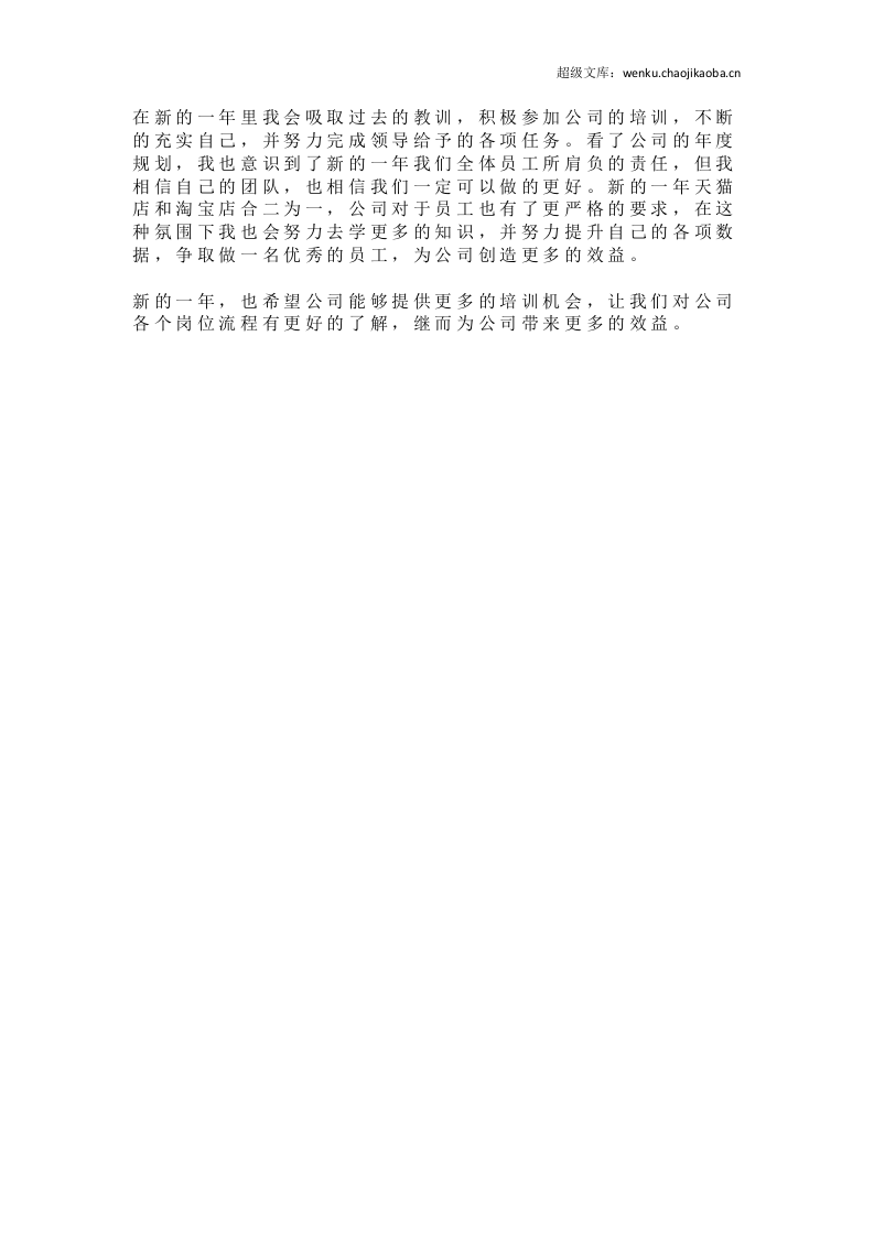 【个人年度总结】网店客服个人年度工作总结.docx 第3页