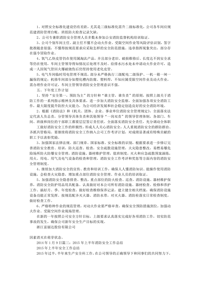 10.年度消防工作总结.docx 第2页