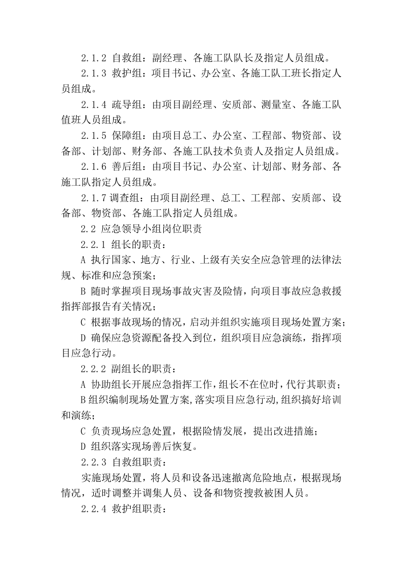 【处置方案类】支架坍塌现场处置方案.docx 第2页