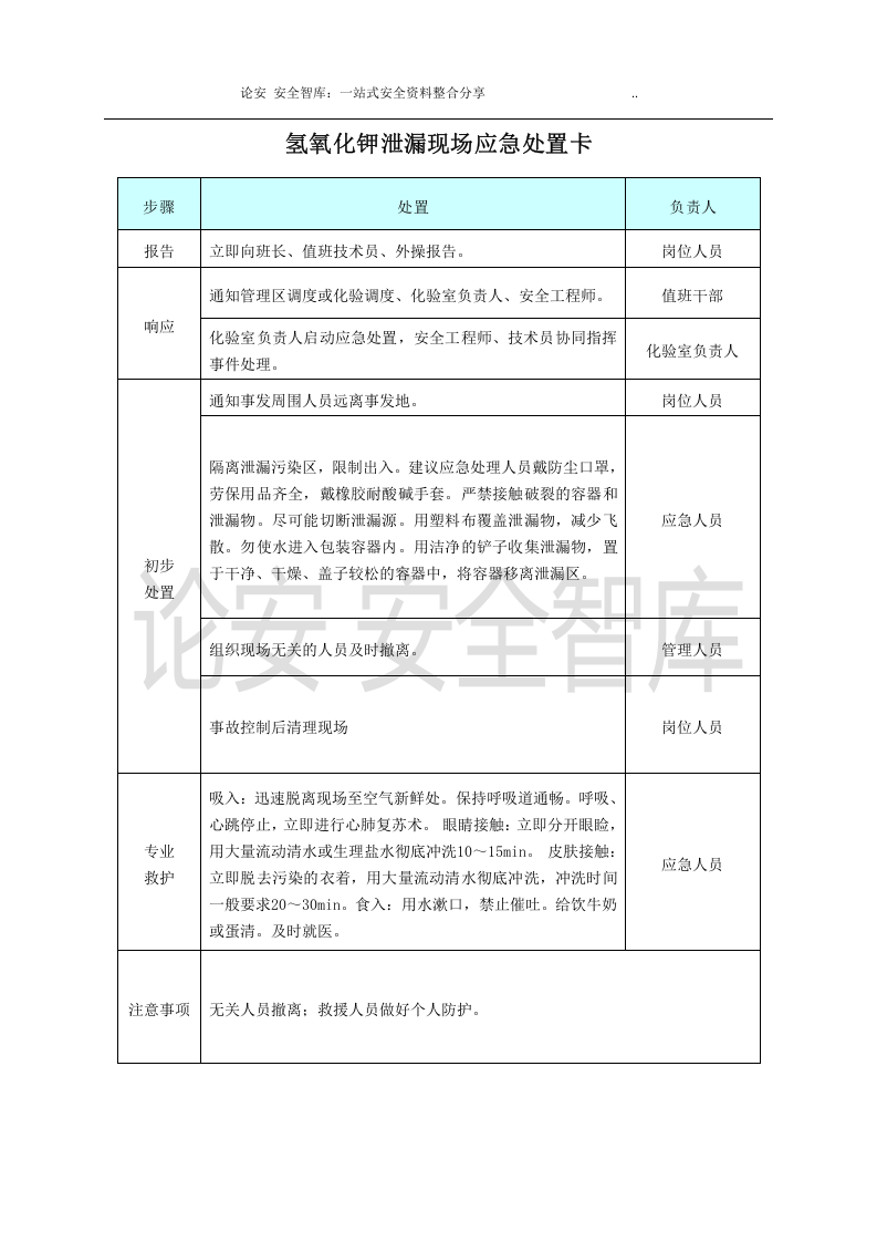 【处置卡模板】安全生产应急处置卡模板（危化品泄漏）.docx 第4页