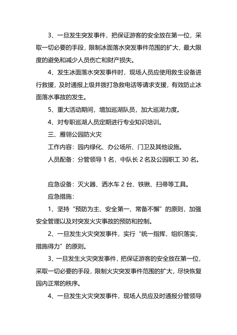 春节应急预案.docx 第5页
