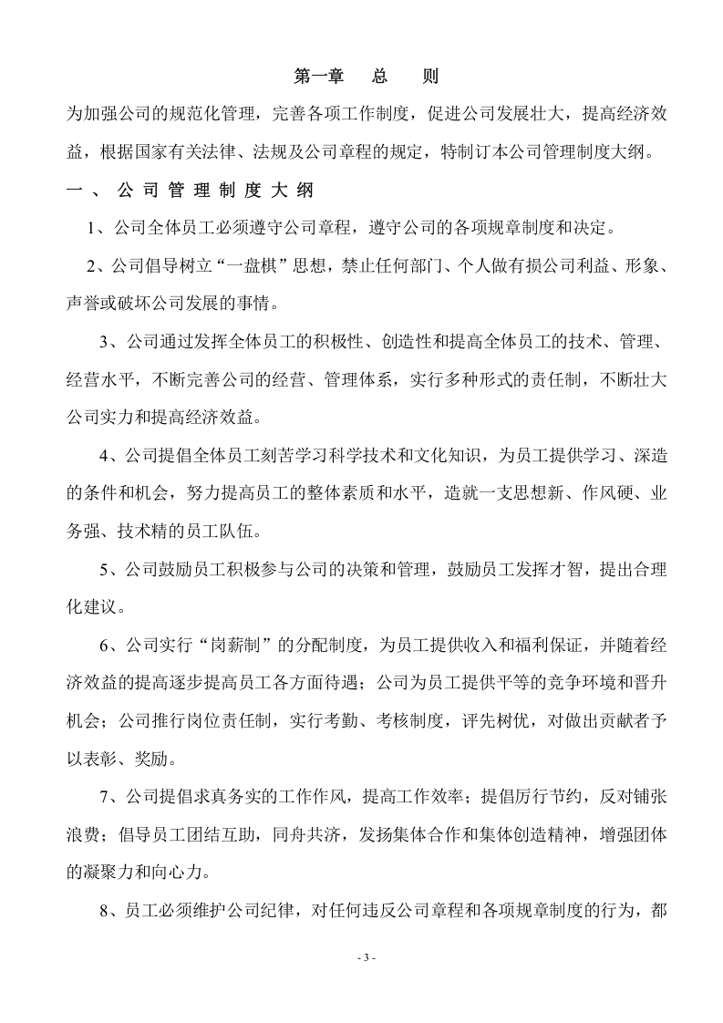 00-01-【通用】通用公司管理制度.doc 第3页