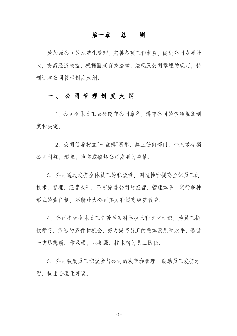51-公司管理制度（适用于软件公司）.doc 第3页