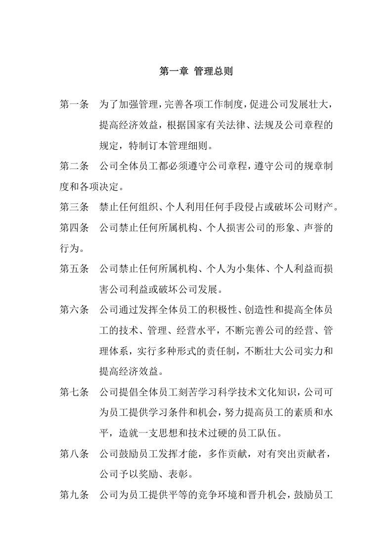 045公司规章制度.docx 第2页