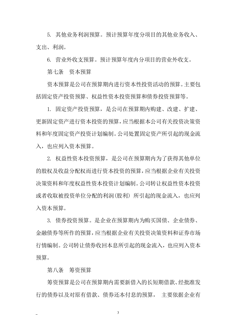 176预算管理制度.docx 第3页