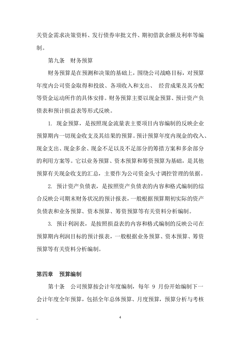 176预算管理制度.docx 第4页