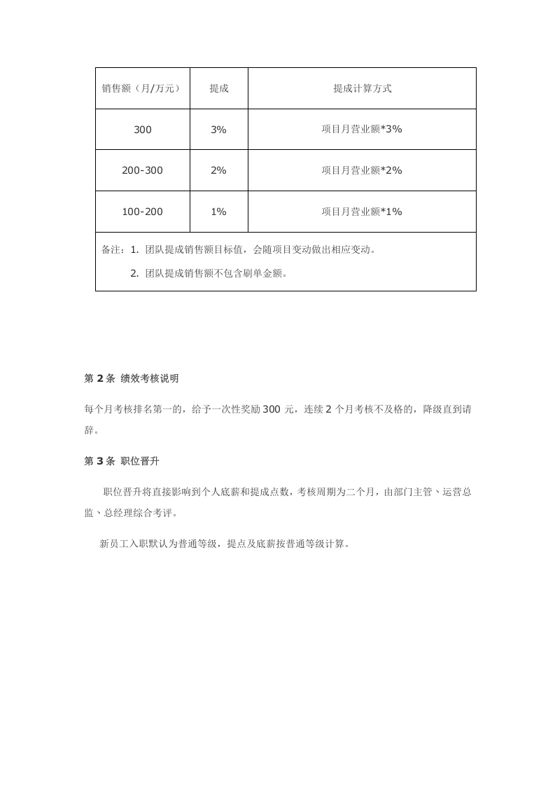 电商团队绩效考核管理制度.doc 第5页