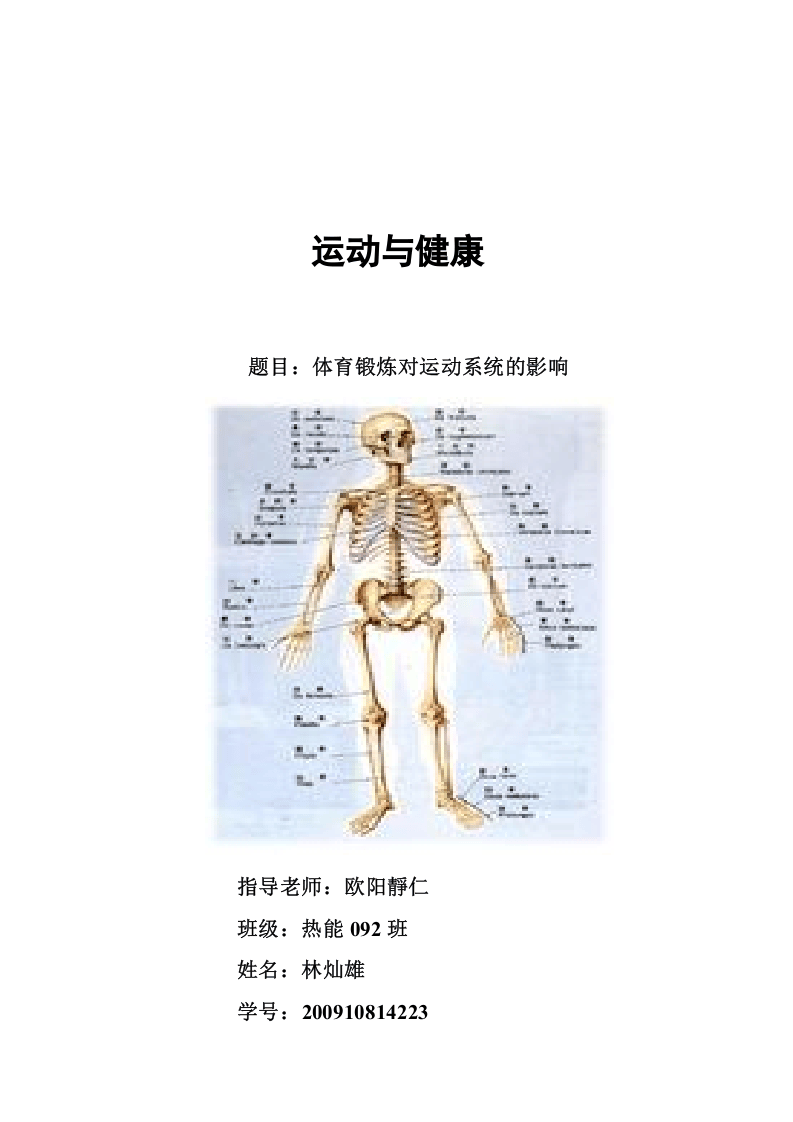 二十四、公司(食品制造业)薪资管理规定.doc 第4页