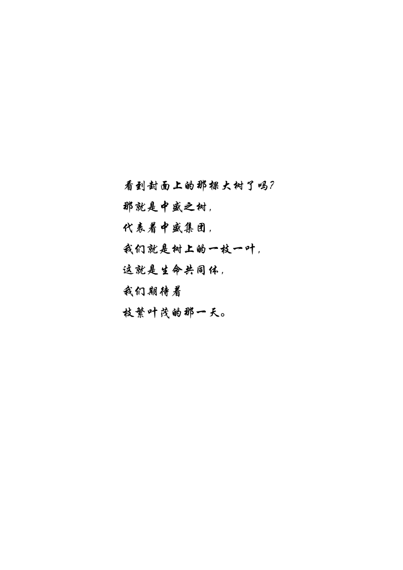 中盛企业文化手册定稿新新.doc 第2页