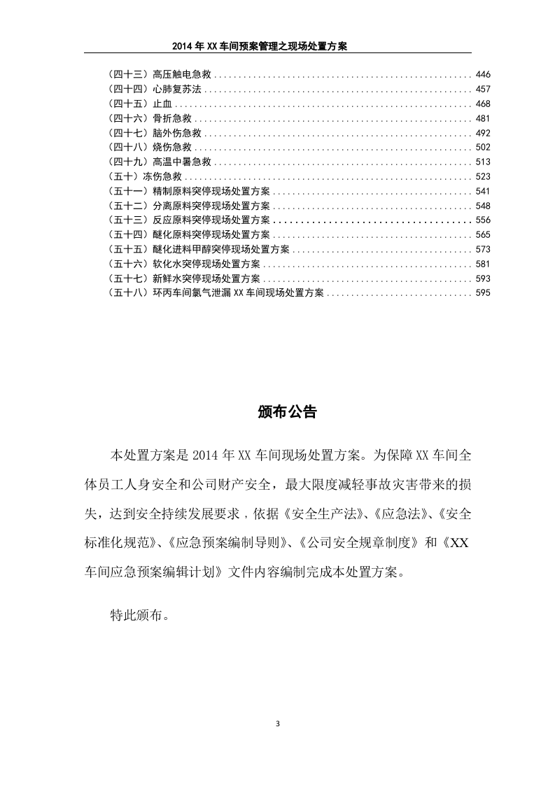 58个现场处置方案.doc 第3页