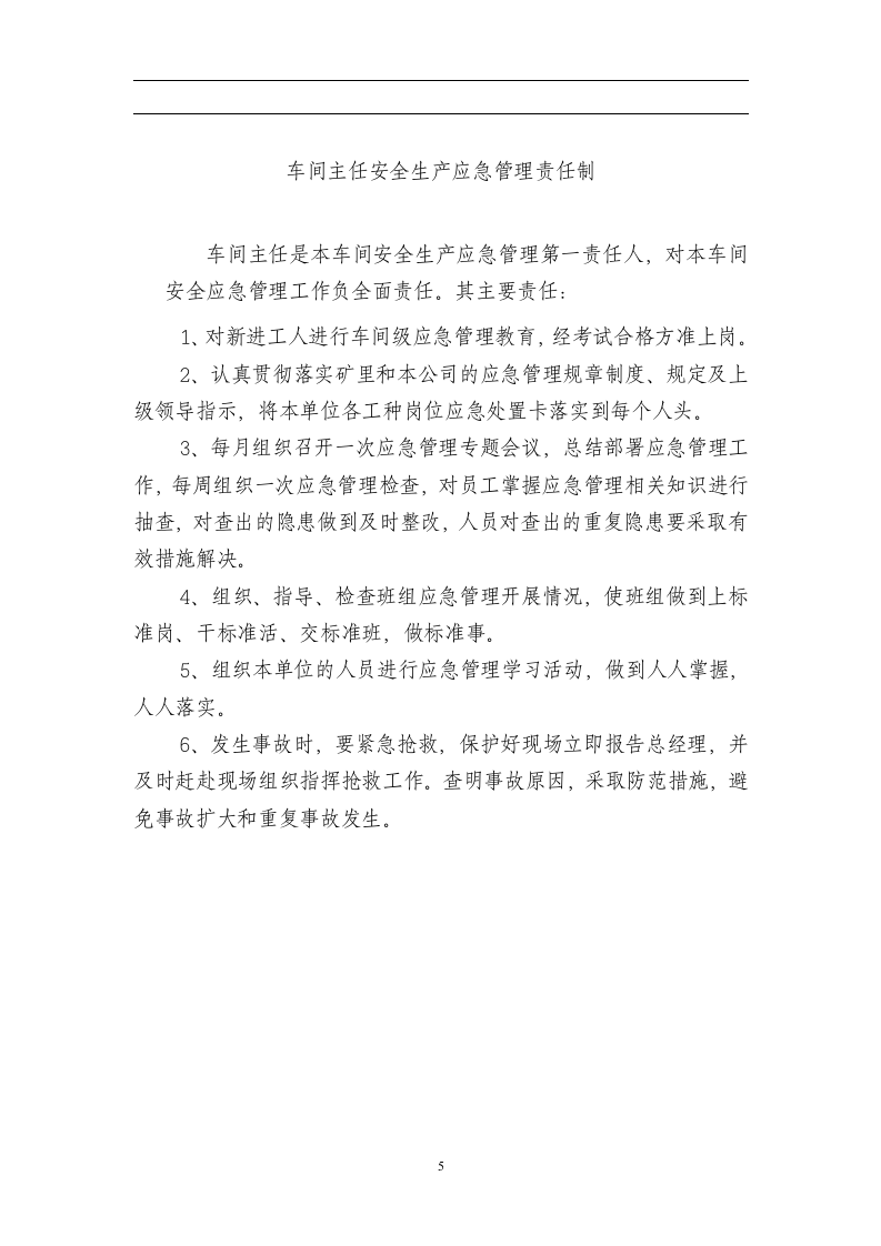 安全生产应急管理责任制.doc 第5页
