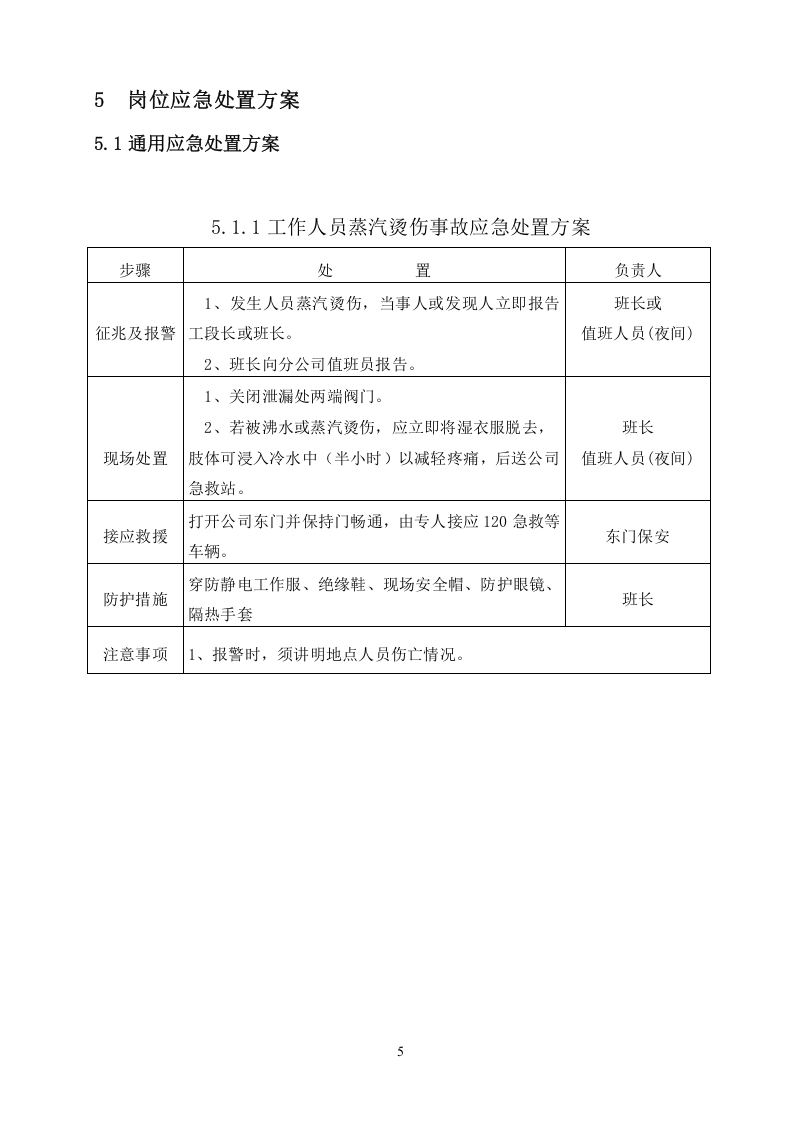 危险化学品现场应急处置方案.docx 第5页