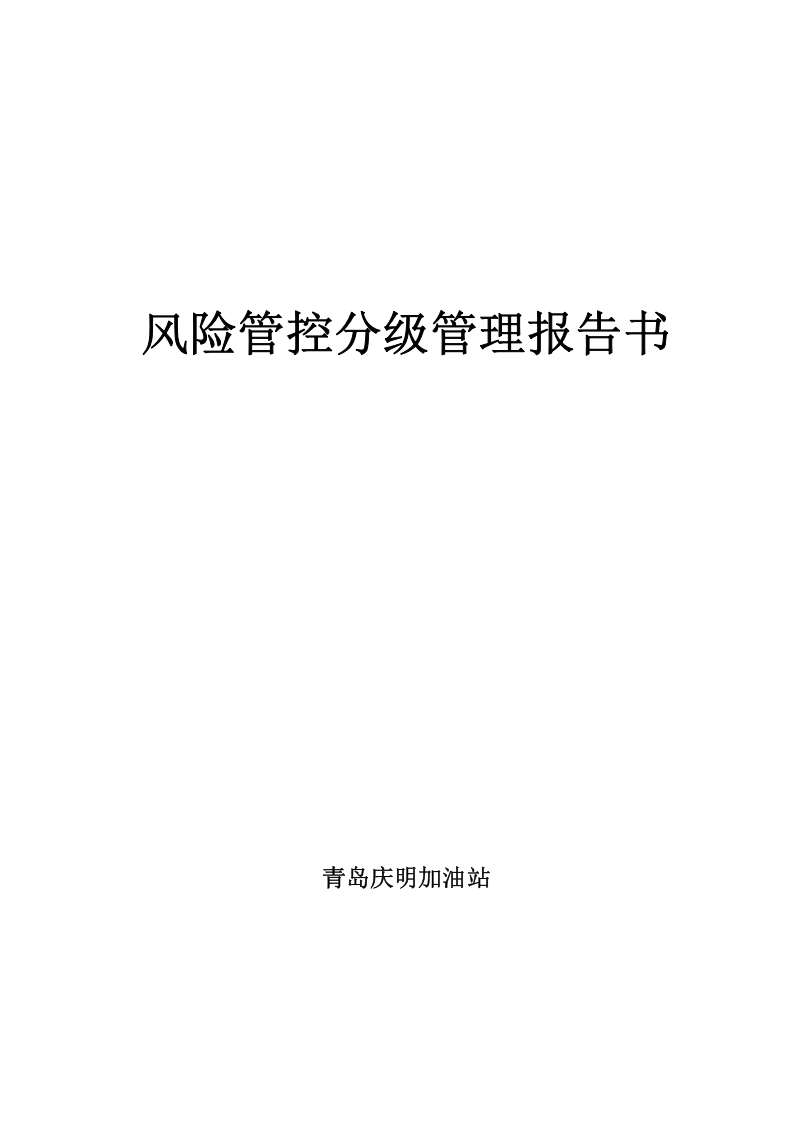 8.加油站风险管控分级管理报告书.doc 第1页