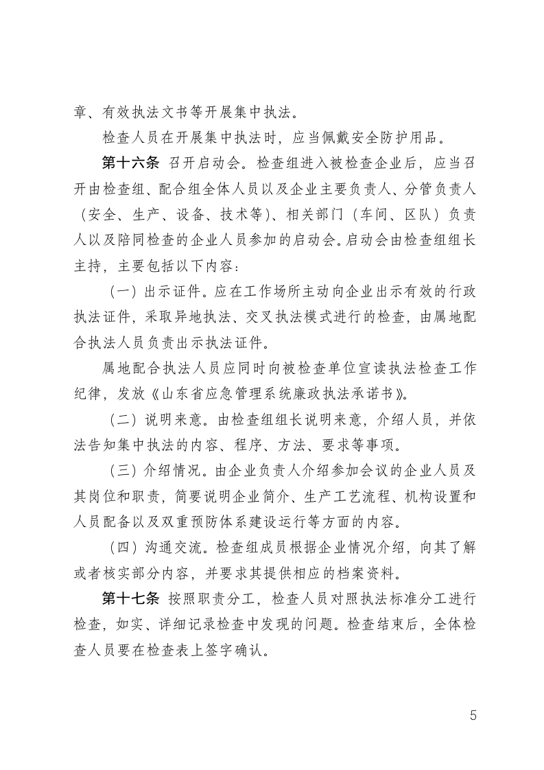山东省安全生产集中执法检查工作规范.docx 第5页