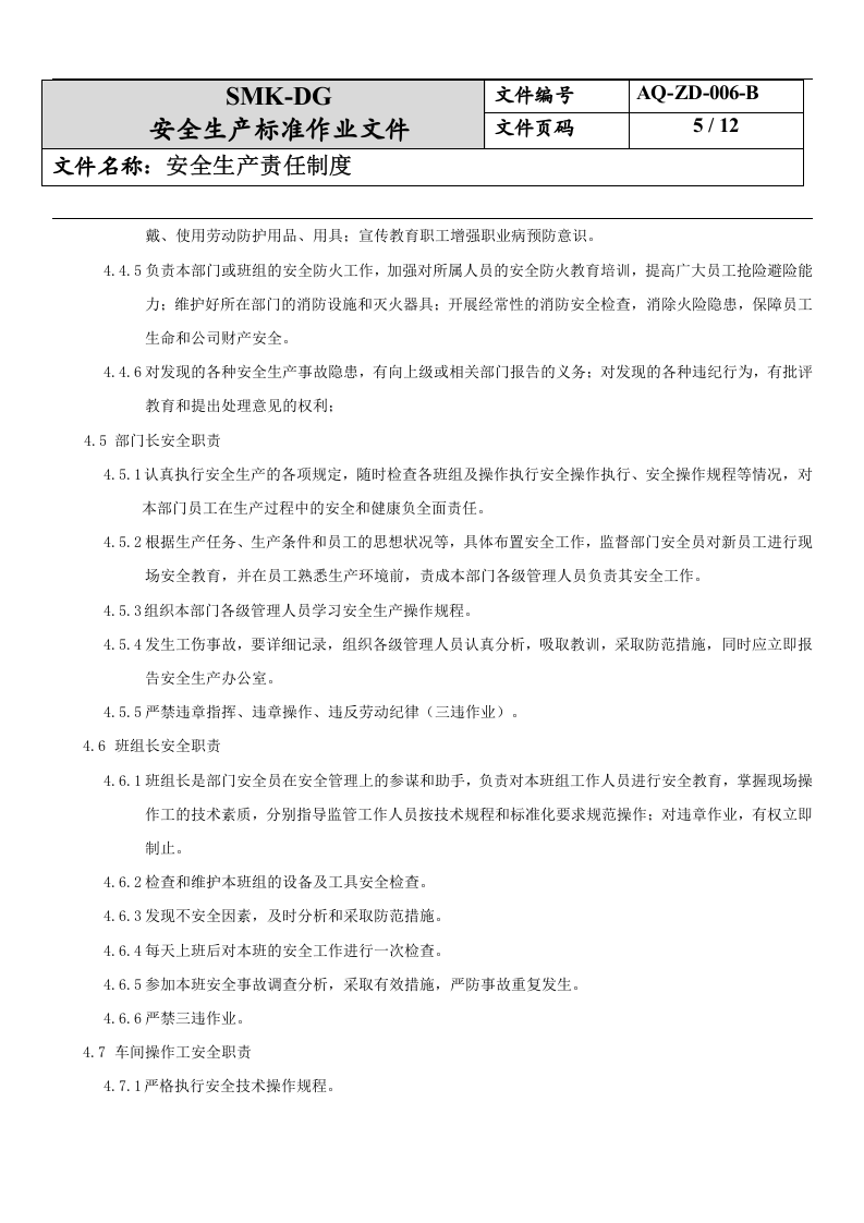 6.安全生产责任制度（2-4）.docx 第5页