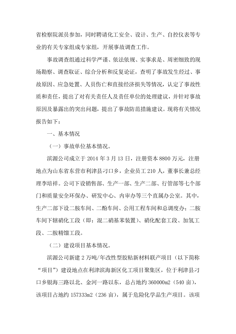 山东滨源化学有限公司&ldquo;8&bull;31&rdquo;重大爆炸事故调查报告.doc 第2页