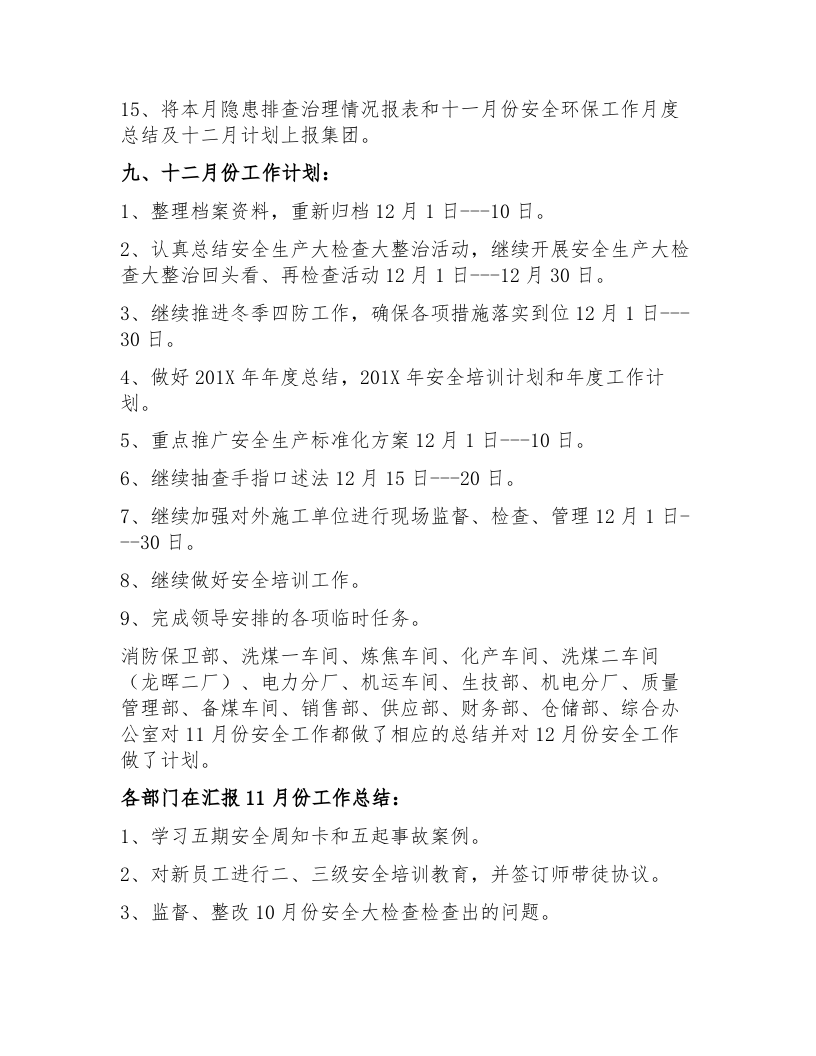 【例会模板】安全例会会议纪要模板（11页）.docx 第5页