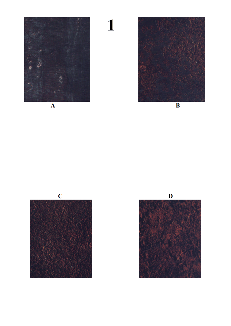 GB8923-88锈蚀等级及除锈等级.PDf 第5页