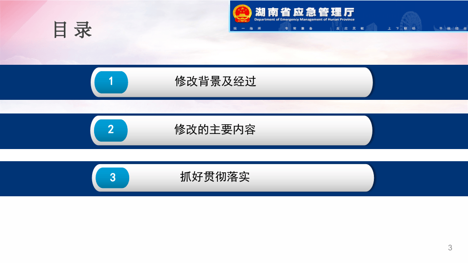 新《安全生产法》宣贯解读.pptx 第3页