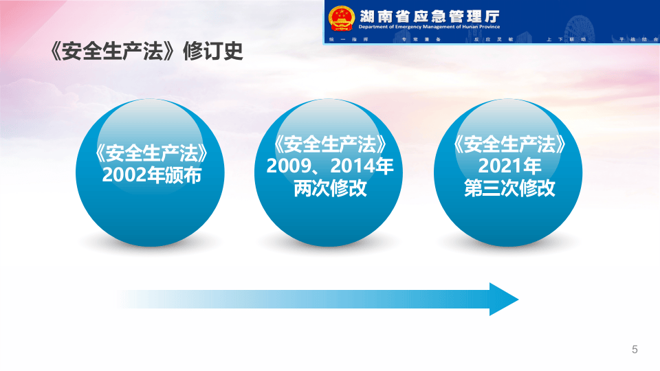 新《安全生产法》宣贯解读.pptx 第5页