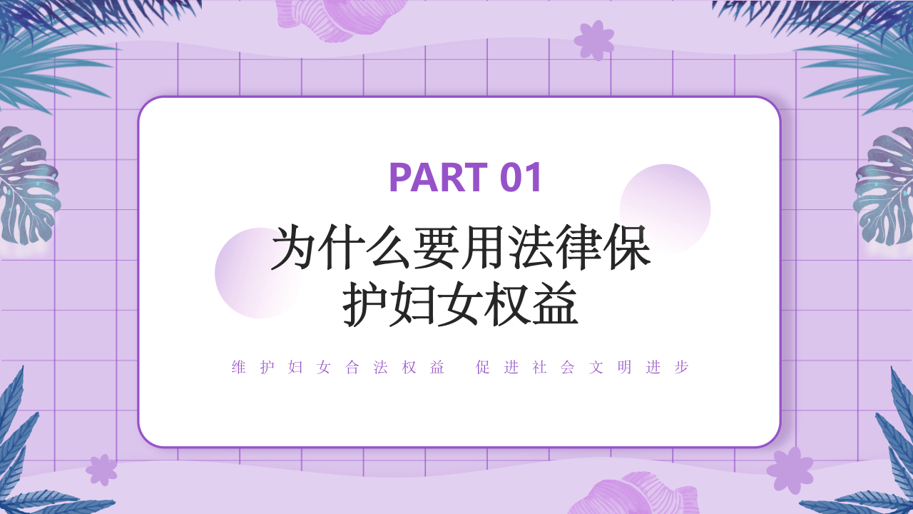 妇女法律知识.pptx 第3页