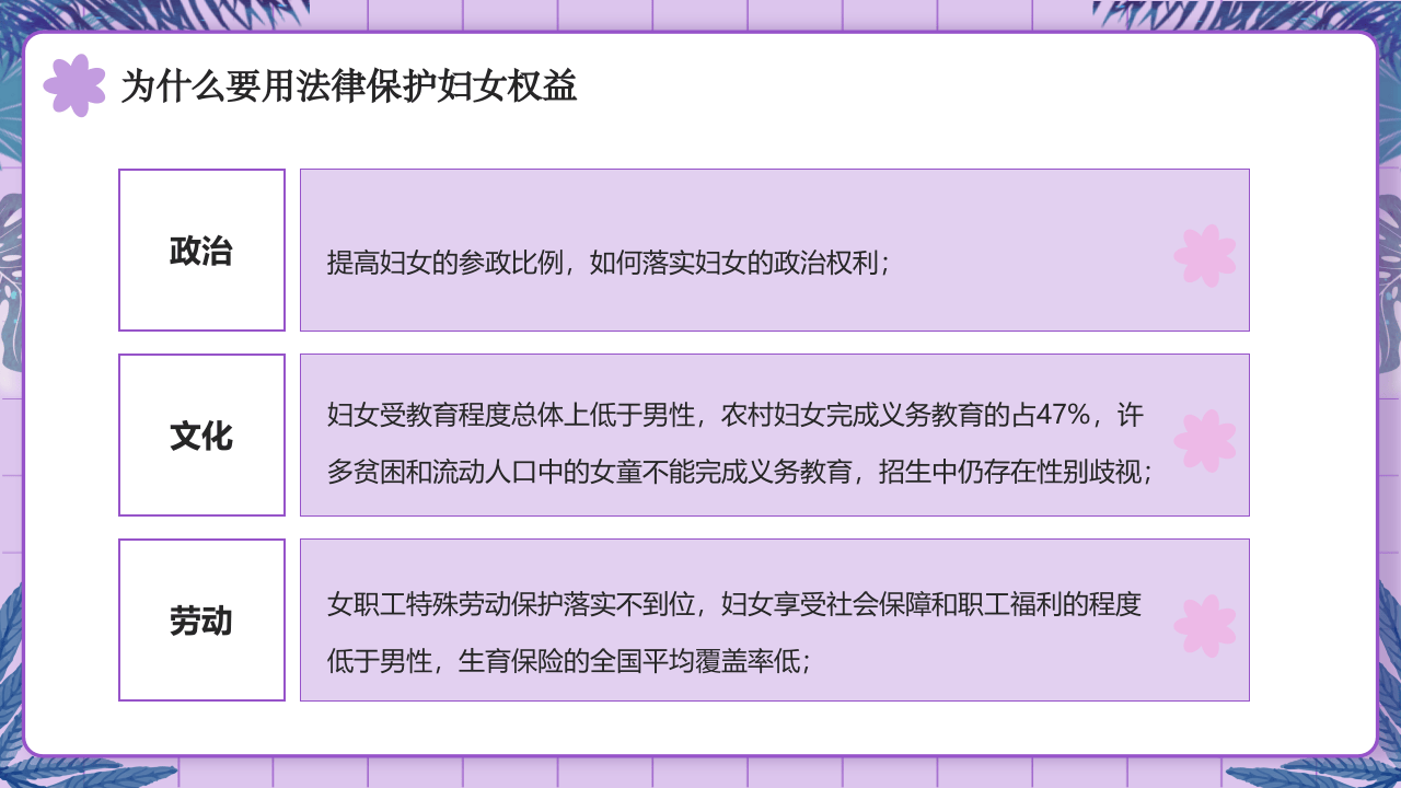 妇女法律知识.pptx 第5页