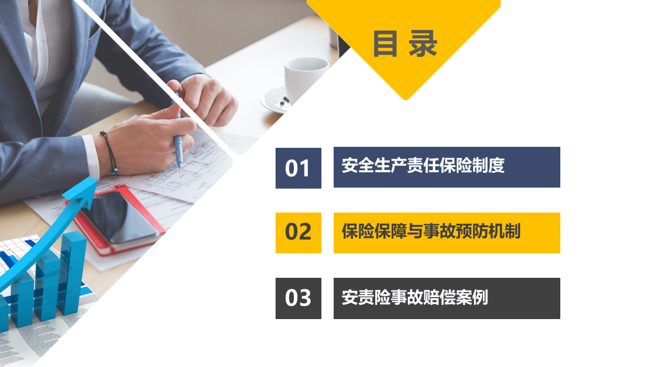 安全生产责任保险制度解读与推行.pptx 第2页