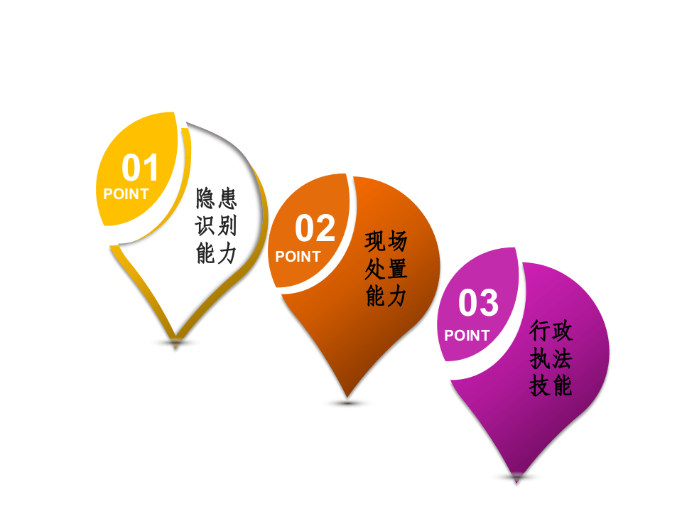 安全生产行政执法文书使用手册.ppt 第4页