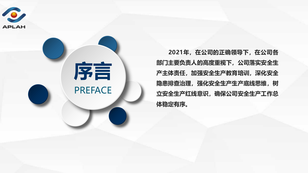 年度工作汇报PPT.pptx 第2页
