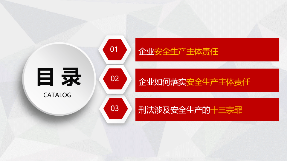 生产经营单位安全生产主体责任.pptx 第4页