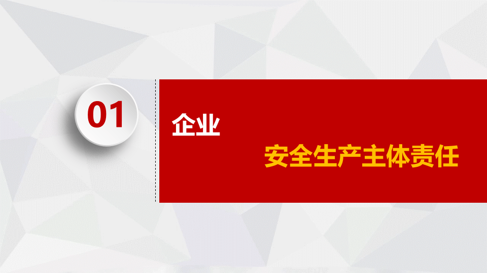 生产经营单位安全生产主体责任.pptx 第5页