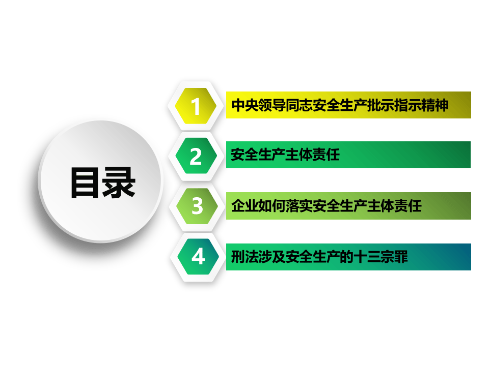 企业安全生产主体责任落实.ppt 第4页