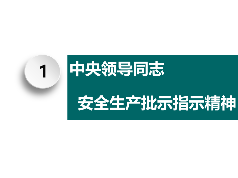 企业安全生产主体责任落实.ppt 第5页