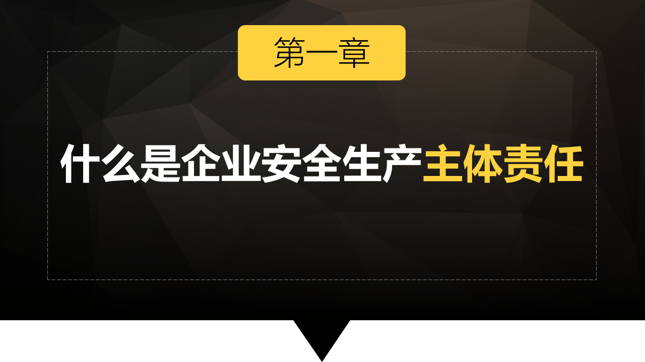企业安全生产主体责任.pptx 第2页