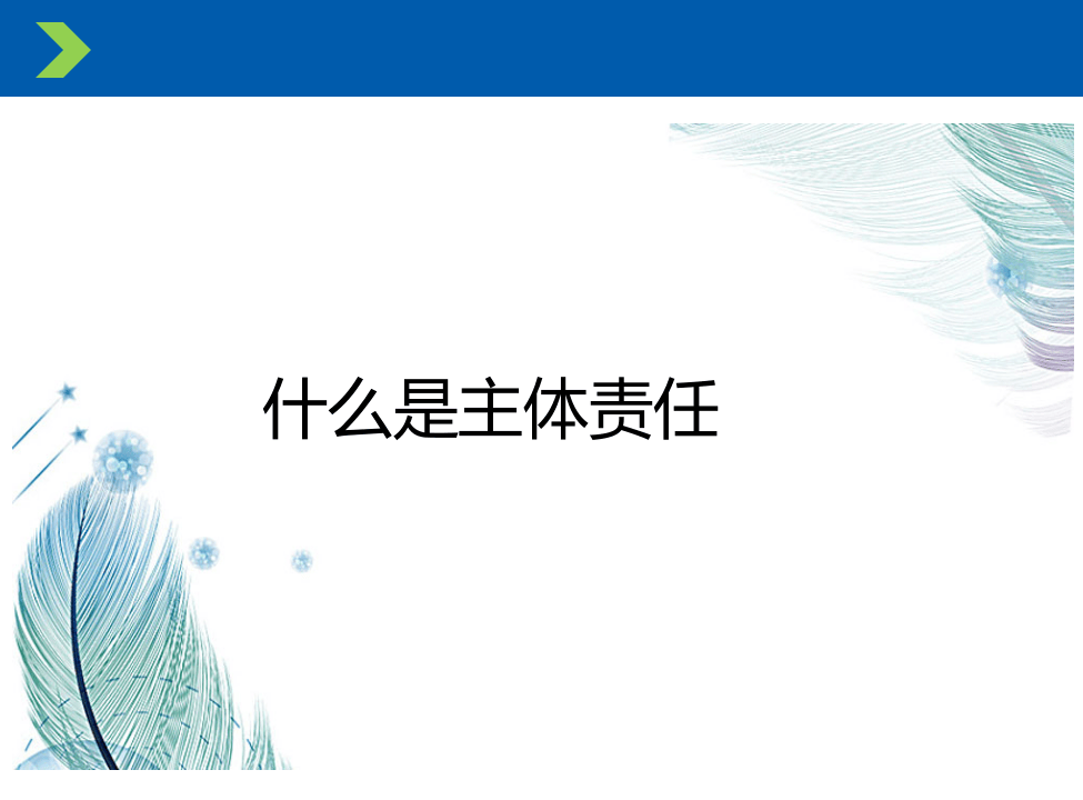 安全生产主体责任落实精讲.pptx 第3页