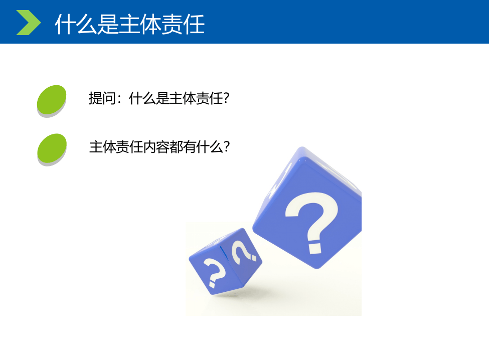 安全生产主体责任落实精讲.pptx 第4页