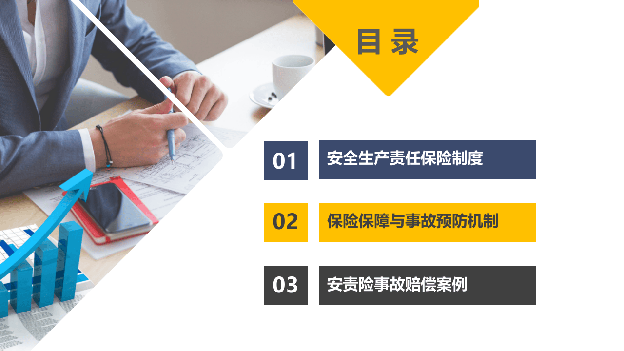 安全生产责任保险制度解读与推行.pptx 第2页