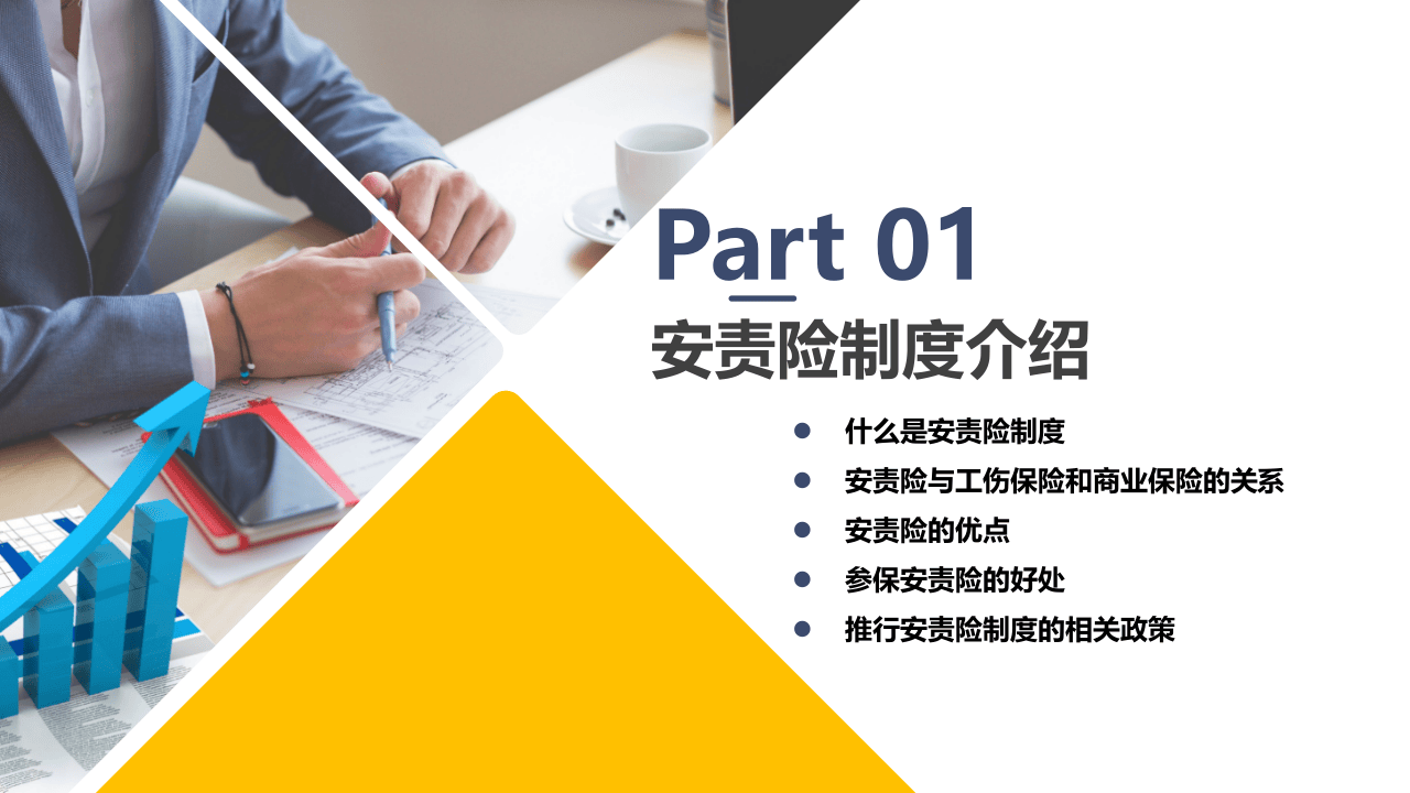 安全生产责任保险制度解读与推行.pptx 第3页