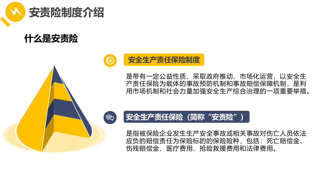 安全生产责任保险制度解读与推行.pptx 第4页