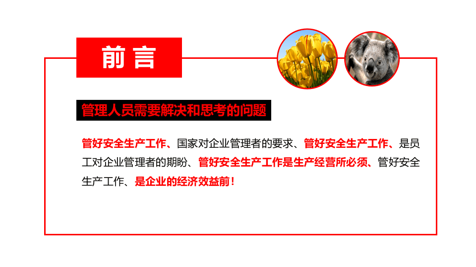 管理人员安全生产主体责任.pptx 第2页