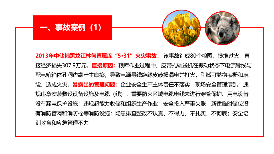 管理人员安全生产主体责任.pptx 第4页