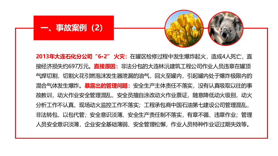 管理人员安全生产主体责任.pptx 第5页