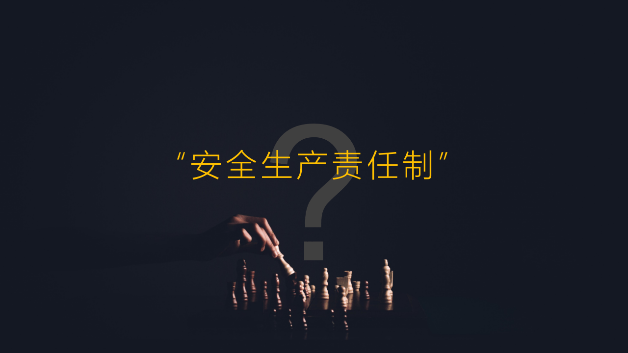 基于法理层面的安全生产责任制思考(1).pptx 第4页